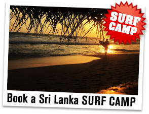 Sri Lanka Surf Camp